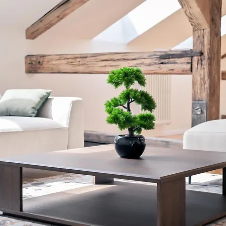 Laurinska 1 アパート