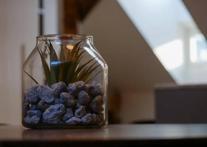 Apartament Laurinska 1 *